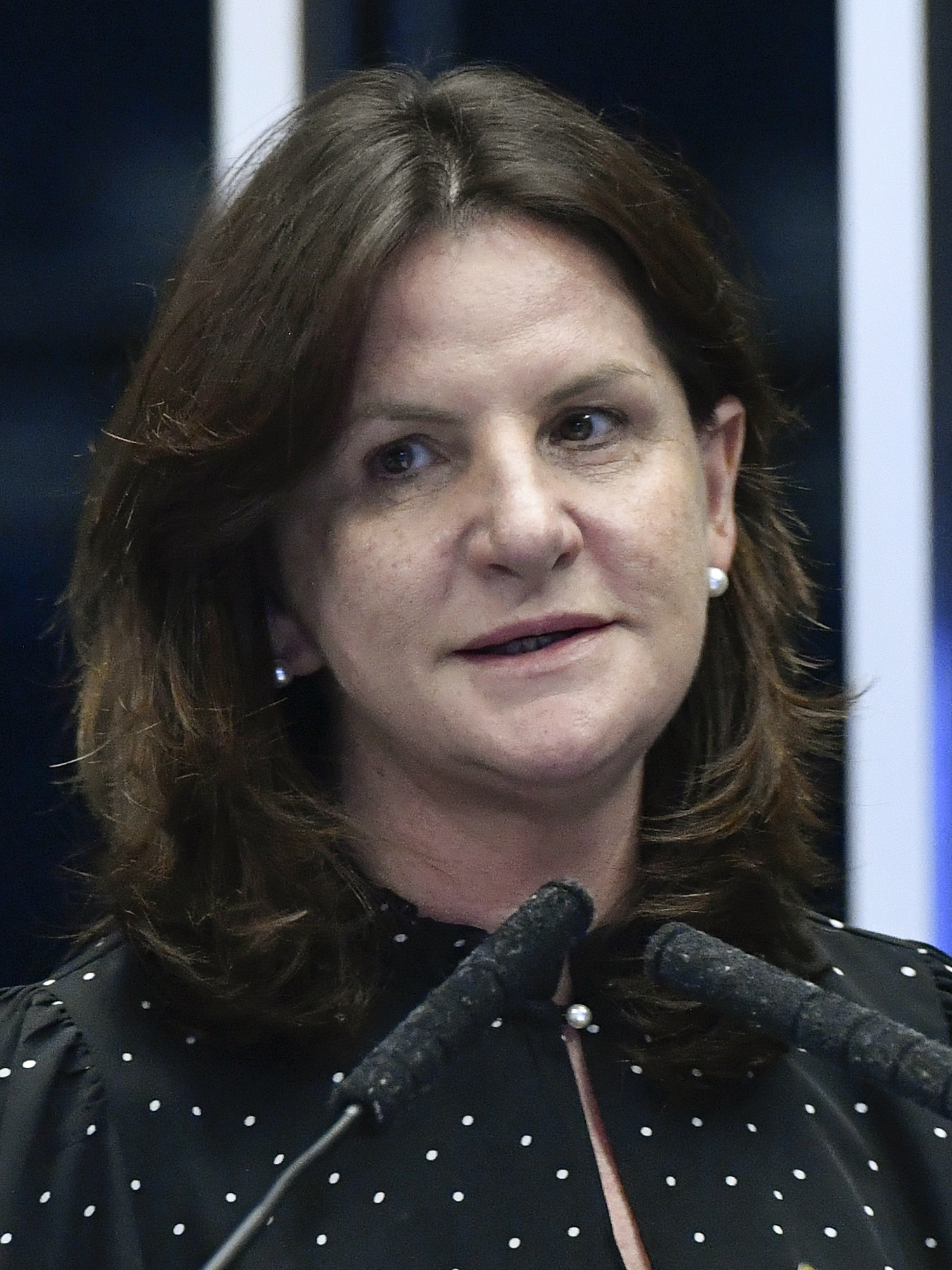 Imagem de referência relacionada a Carmen Zanotto, item descrito como política brasileira