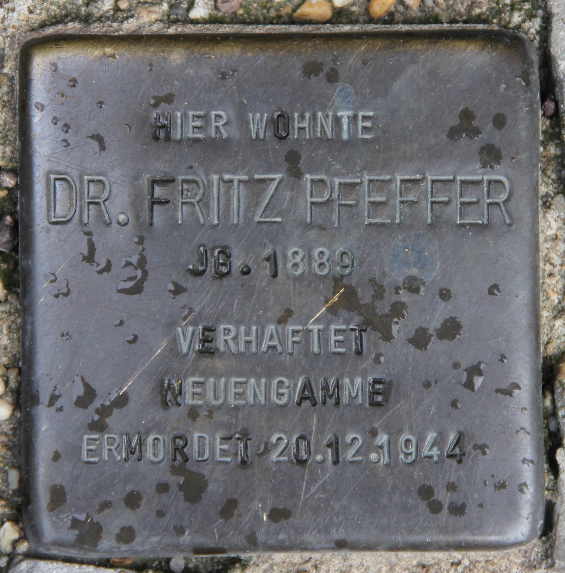 Imagem de referência relacionada a Fritz Pfeffer, item descrito como registro de referência sobre Fritz Pfeffer, organizado a partir de dados estruturados abertos