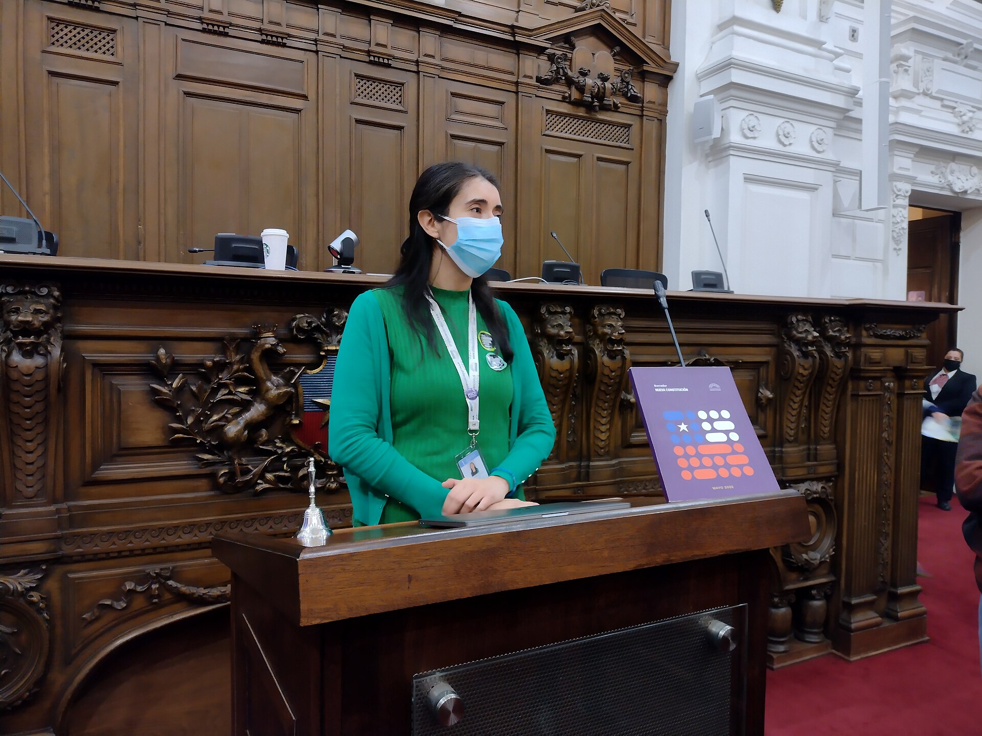 Imagem de referência relacionada a María Elisa Quinteros, item descrito como ambientalista e política