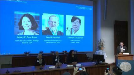Nobel de Medicina vai para pesquisadores do sistema imunológico