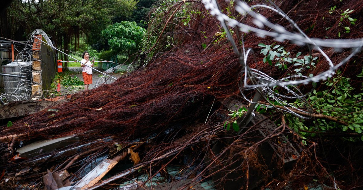 O tufão Champi varreu Taiwan, deixando uma pessoa morta e 500 feridas