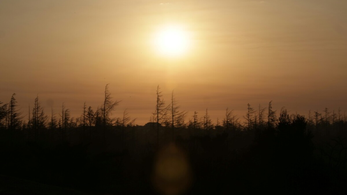 O chefe do painel climático da ONU deseja um fim rápido ao impasse sobre o relatório científico chave