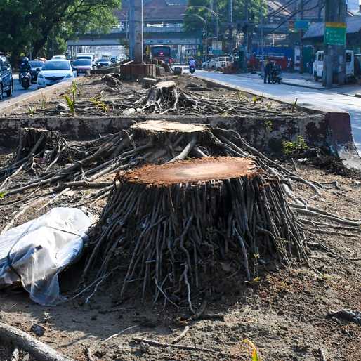 [Kasalikasan] All roads lead to Ramon Ang’s airport