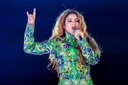 Febre pet: Shakira dispara entre os nomes mais populares de doguinhos