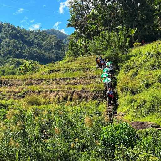 When the Ifugao rice terraces rest