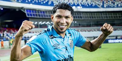 Foto: Reinaldo Campos/ Santos F.C. / G&aacute;vea News
