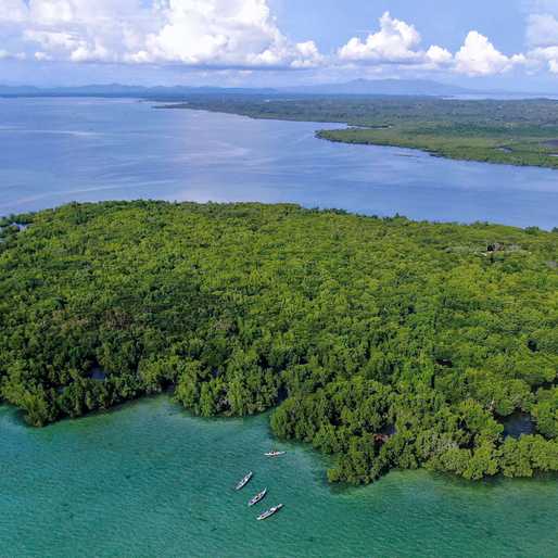 Zamboanga Sibugay wetland gains int’l status for migratory bird conservation
